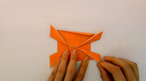 萌宠DIY指南 亲手打造一只超级可爱的狗狗伙伴